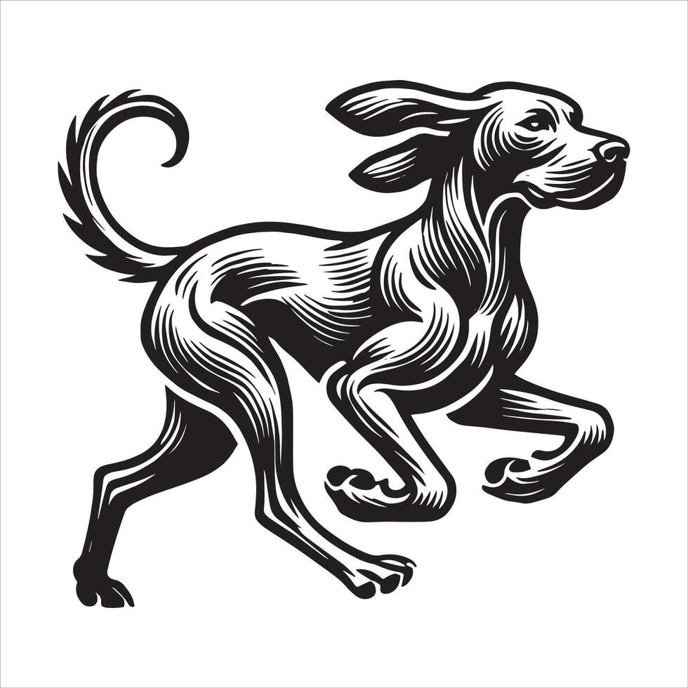 Vizsla running dog vector