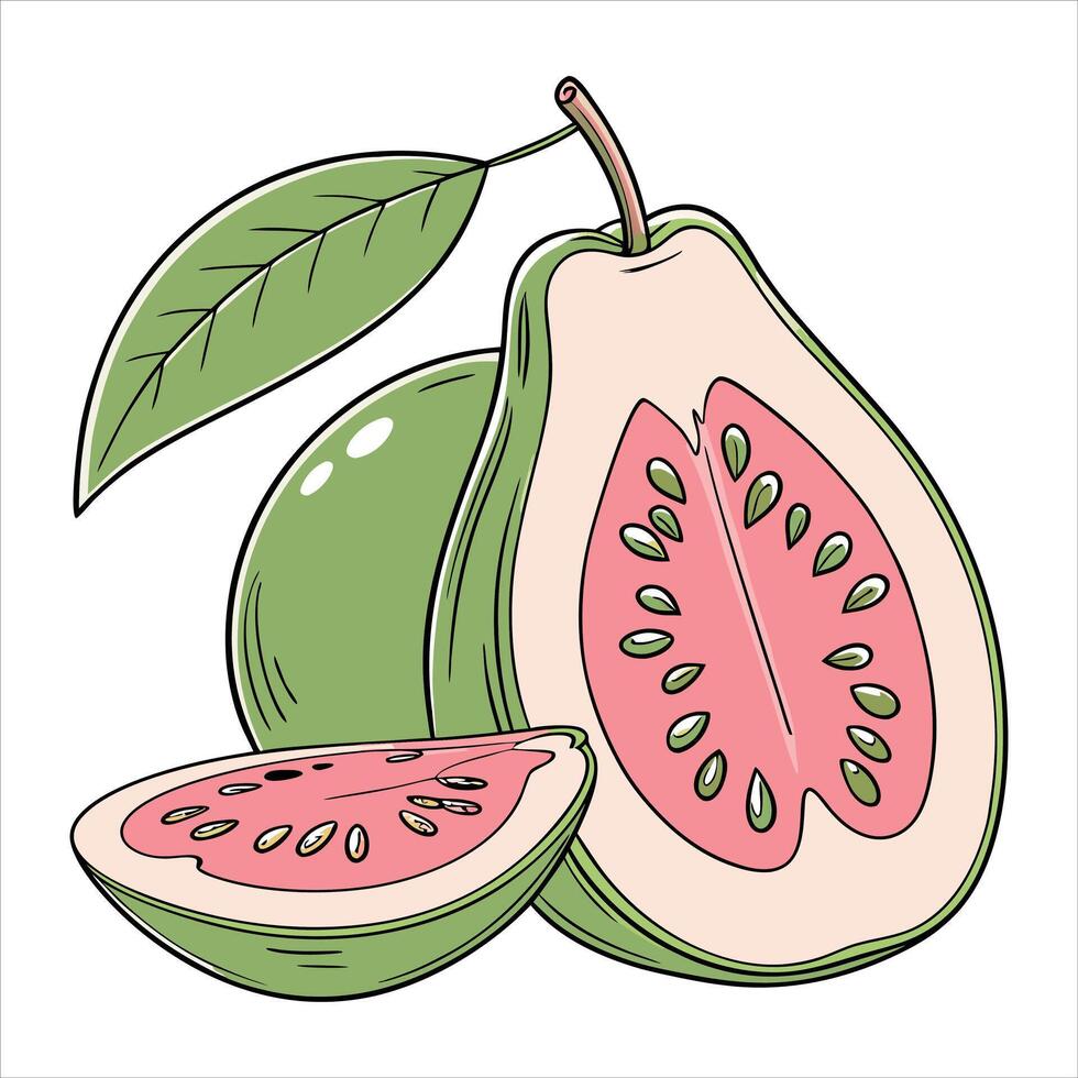 Natures Sweetness Halved Guava Illustration vector