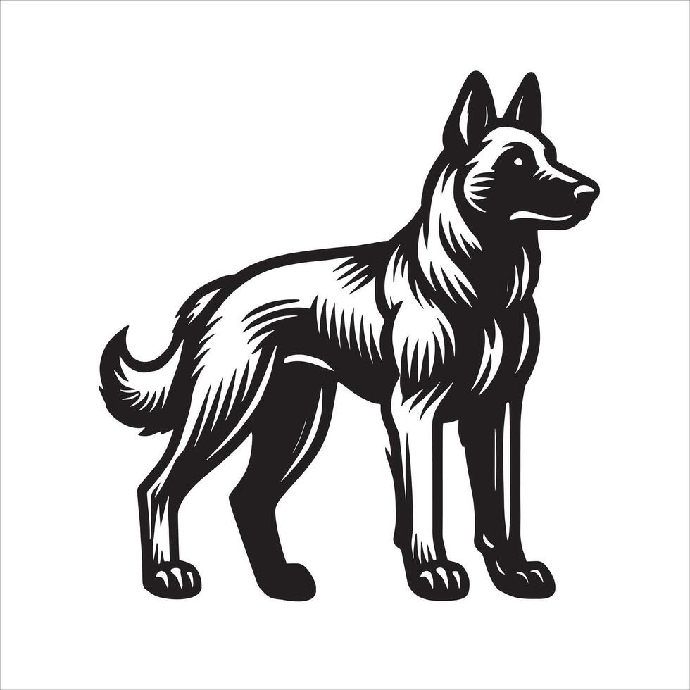 The Protective Belgian Malinois vector