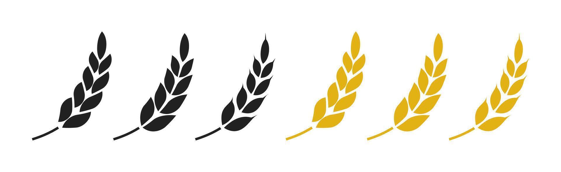 Rice or wheat silhouette set. Wheat icon symbol illustration. Cereal grains for making bread vector