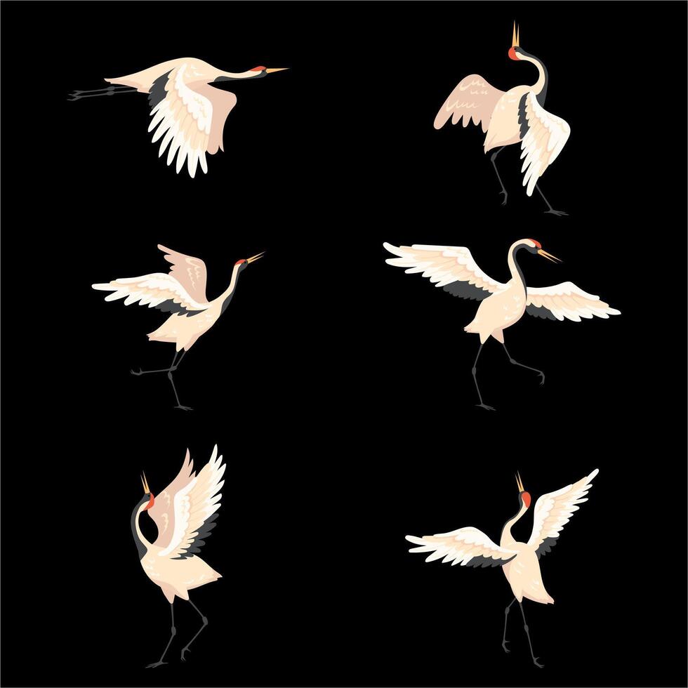 Cute Japanese Cranes vector