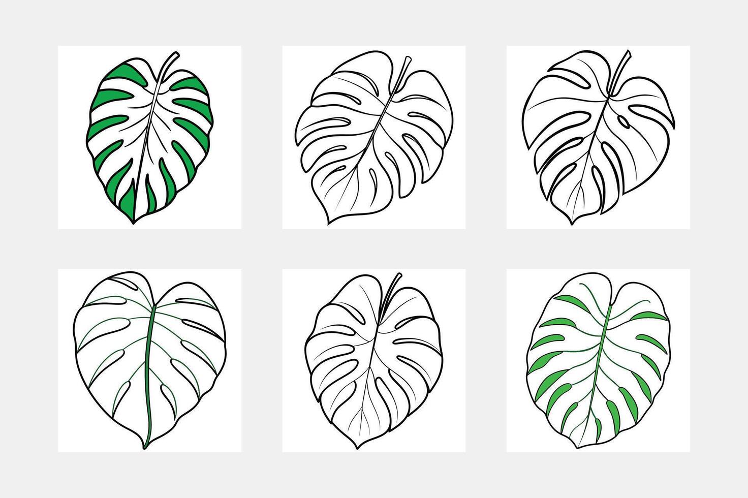 Monstera deliciosa leaf illustrations coloring pages, outlines, and designs vector