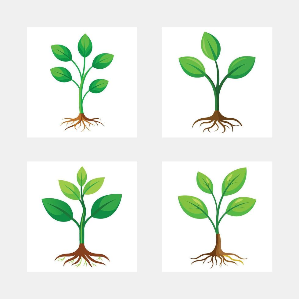 Four Green Saplings, Growth, Nature, Plants, Roots, Spring, Leaves, Ecology, Botany, Life vector