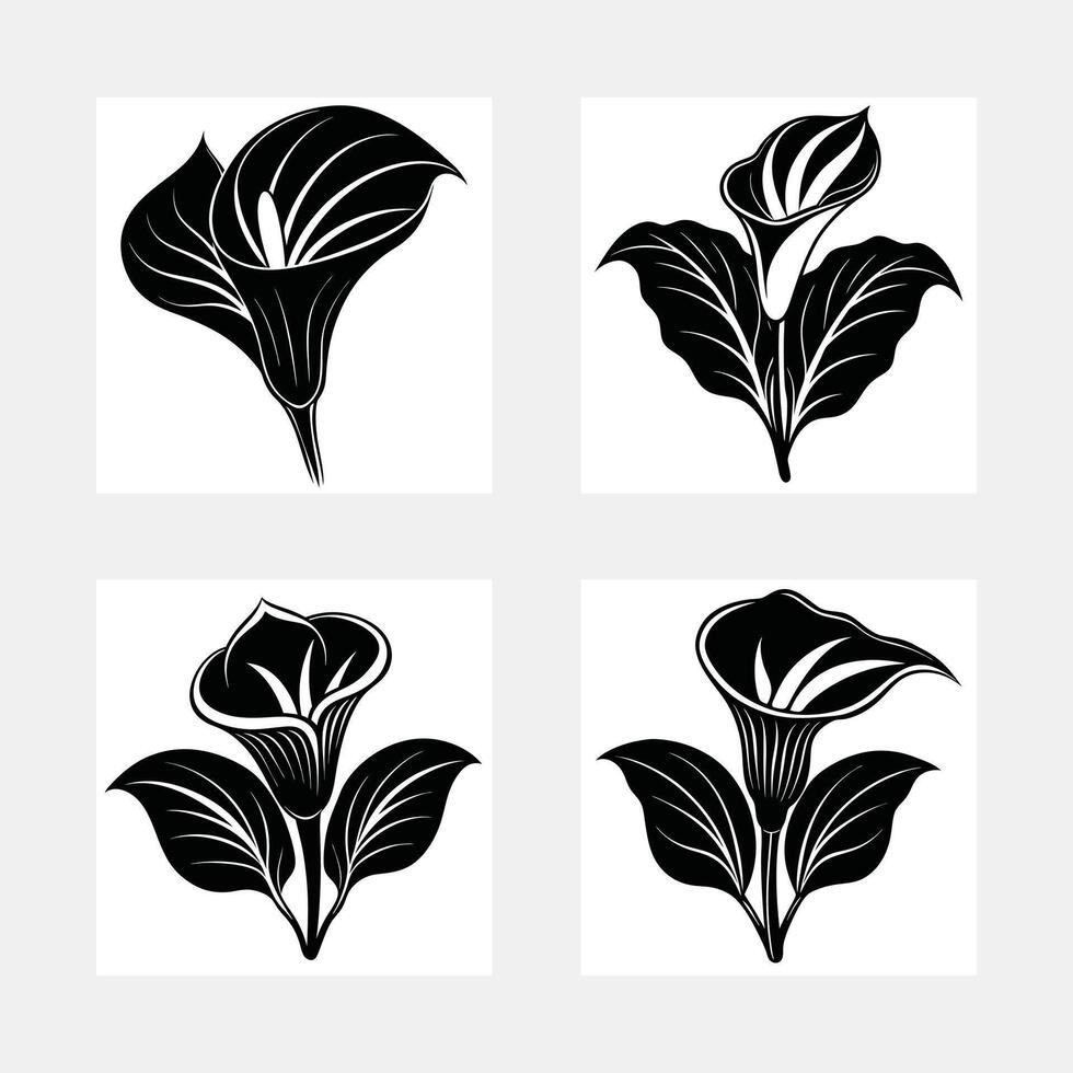 Elegant Black Calla Lily Floral Designs Four Unique Styles vector