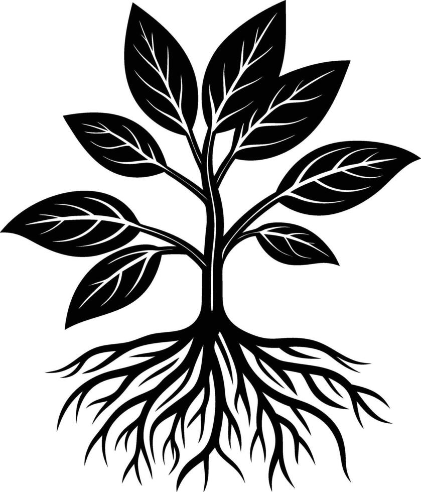 Black Silhouette Plant Roots Stem Leaves Botanical Growth Nature vector
