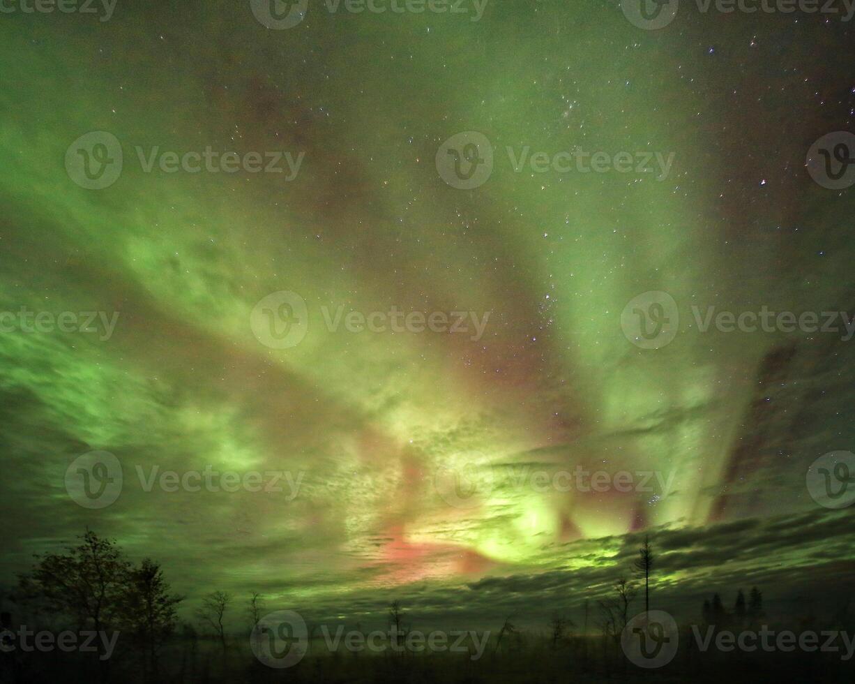 Aurora borealis in red and green with clouds and misty forest silhouette photo