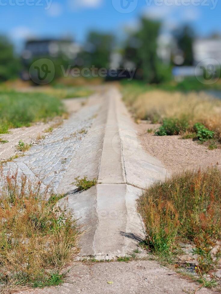 Levee in Magdeburg, Germany during an intense drought photo
