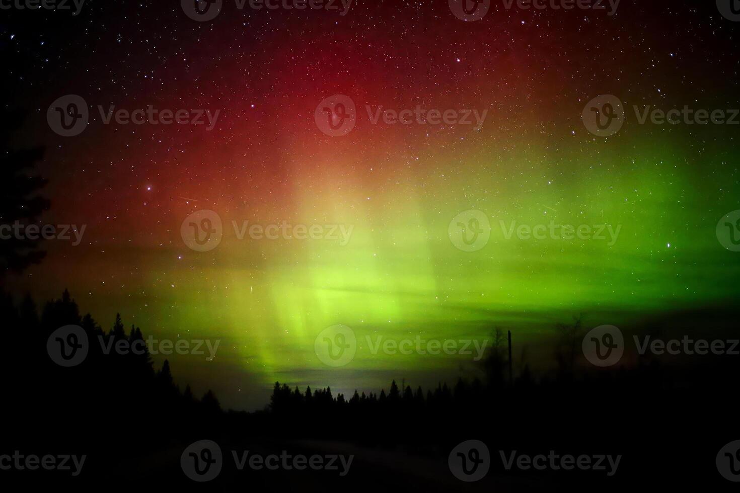 Aurora borealis in red and green with tree silhouettes photo