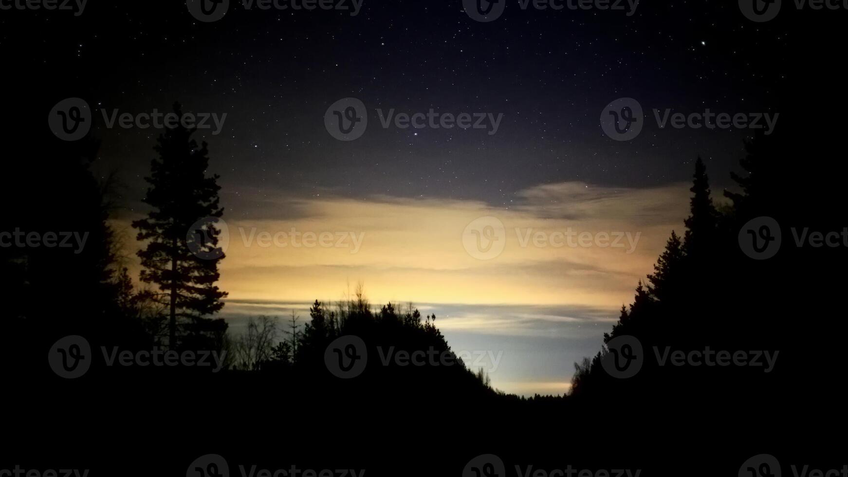 Illuminated clouds in the night with tree silhouettes photo