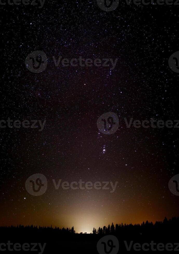 Beautiful bright stars over dusk and forest photo