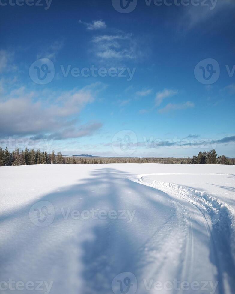 Snow plain with tree shadow in northern Sweden photo