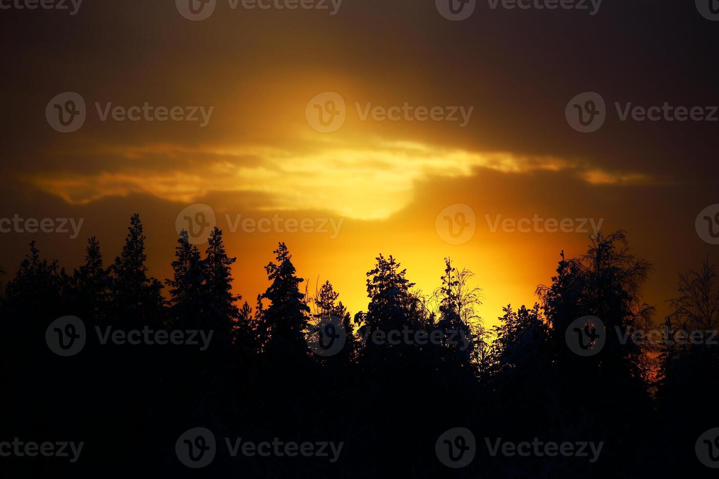 Illuminated cloud over a golden forest silhouette photo