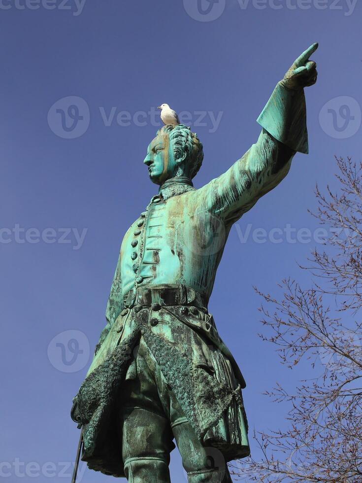 Historic statue of King Charles XII from 1868 in Stockholm, with a herring gull photo