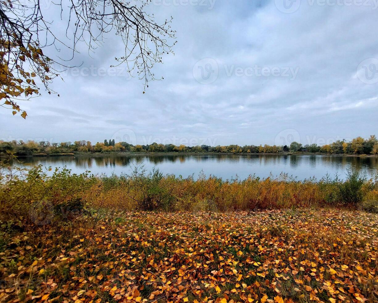Autumnal scene with leaf-covered lawn at a lake photo