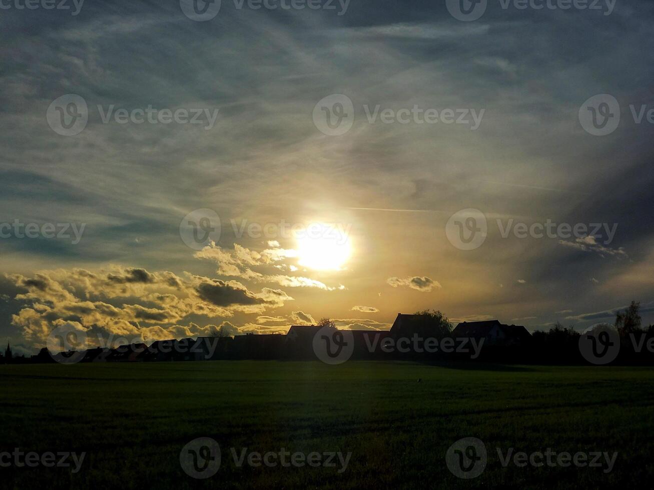 Row of houses on field in backlit evening scene photo