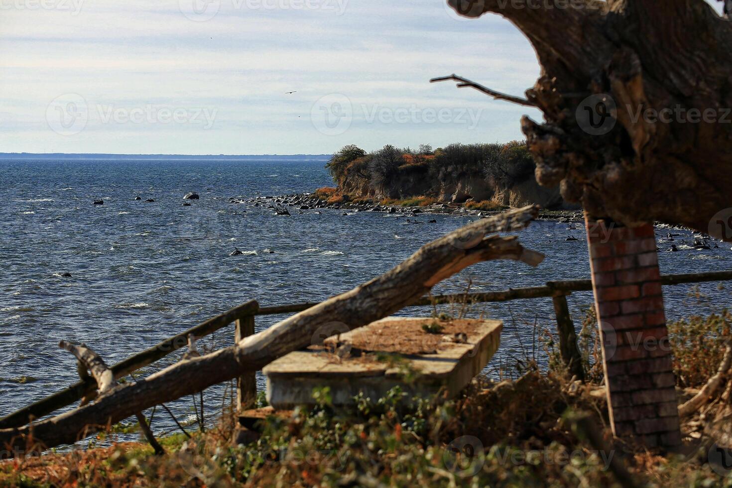 Steep coast at the small island Greifswalder Oie in Germany photo