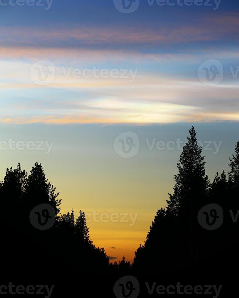 Polar stratospheric clouds PSCs on evening sky photo