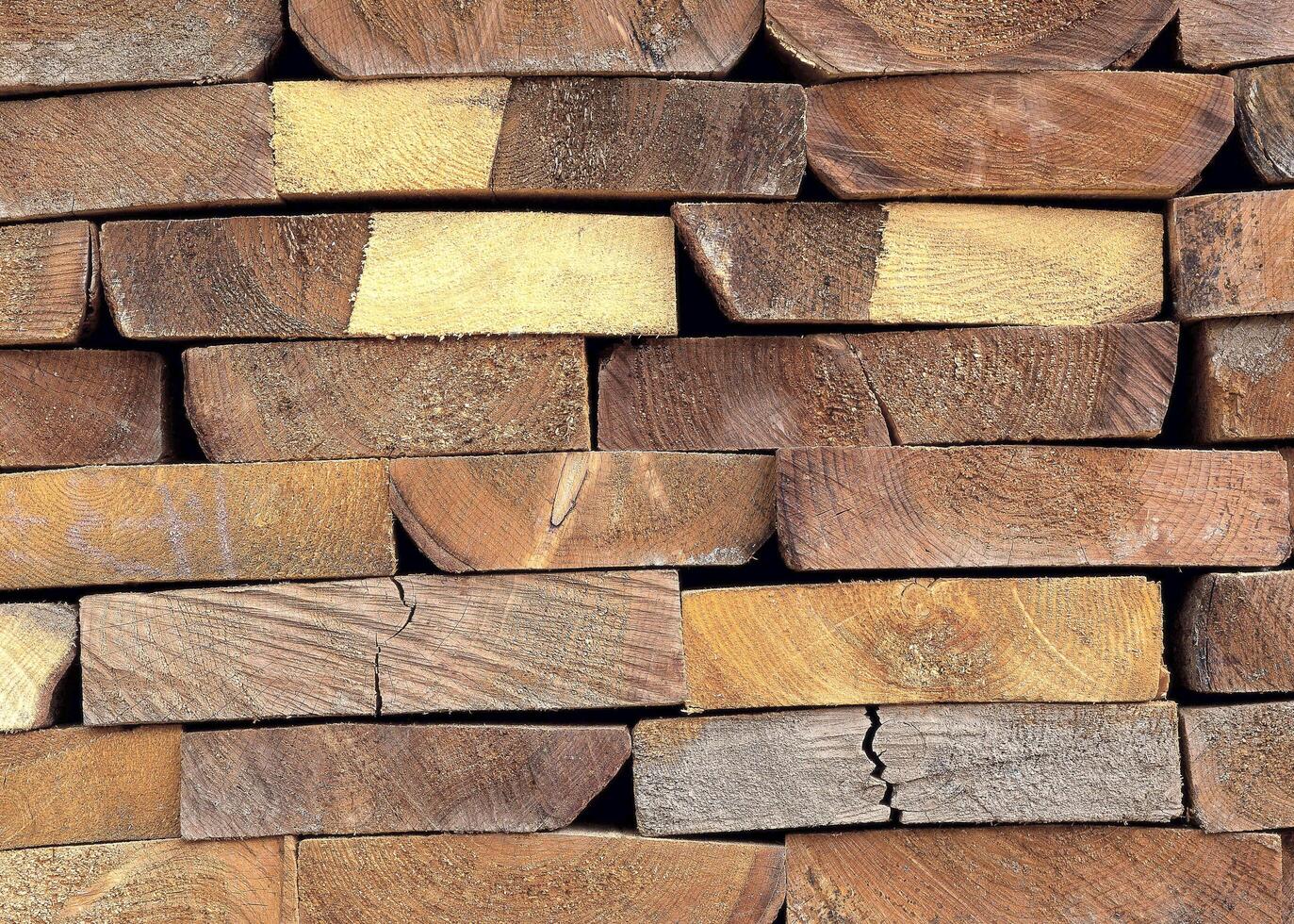 Wooden textured background in different textures photo