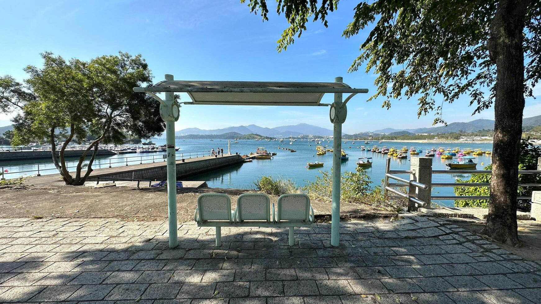 Blue chairs, footpath,, tree in Hong Kong outdoor purblic park with blue sky and recreational boats on lake photo