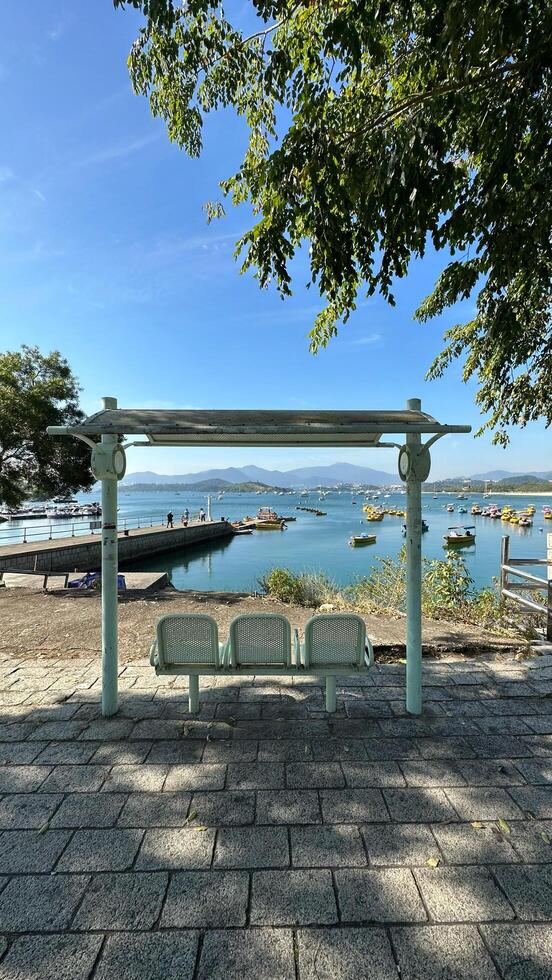 Blue chairs, footpath,, tree in Hong Kong outdoor purblic park with blue sky and recreational boats on lake photo