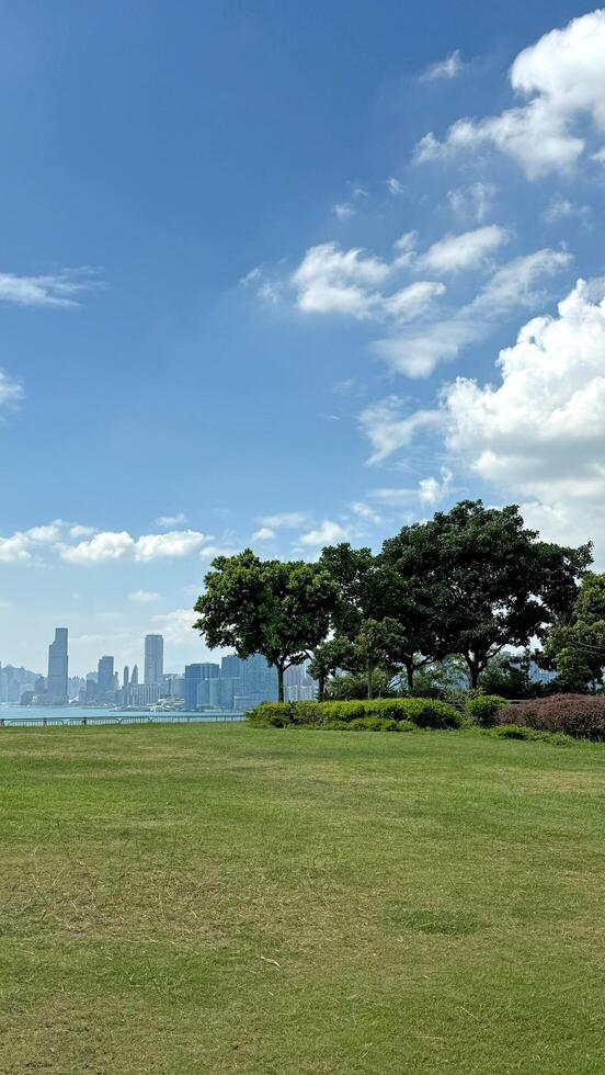 Hong Kong buildings, tree in Hong Kong outdoor public park with blue sky and harbour photo