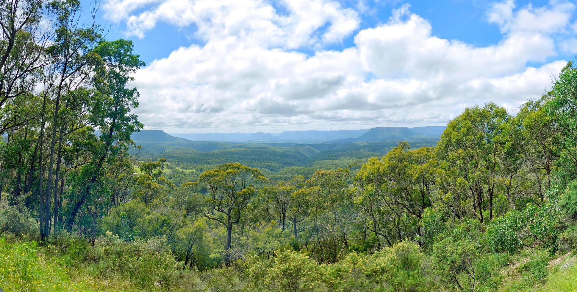 Mountains, trees public outdoor park in countryside of Australia Sydney photo