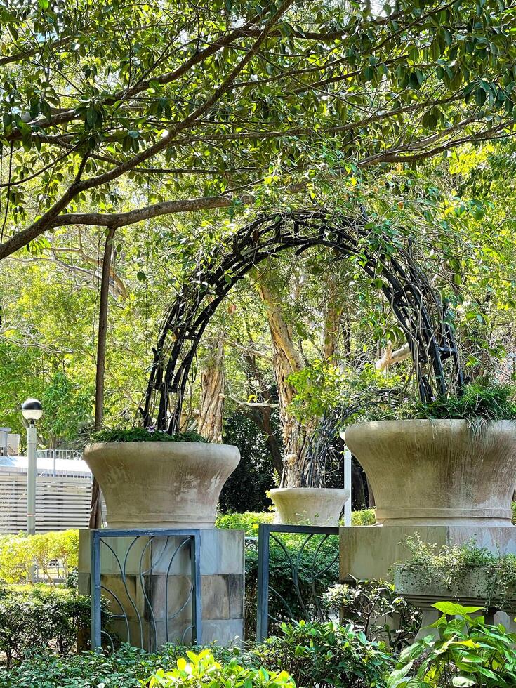 Vertical green trees and outdoor flower plants in outdoor park photo