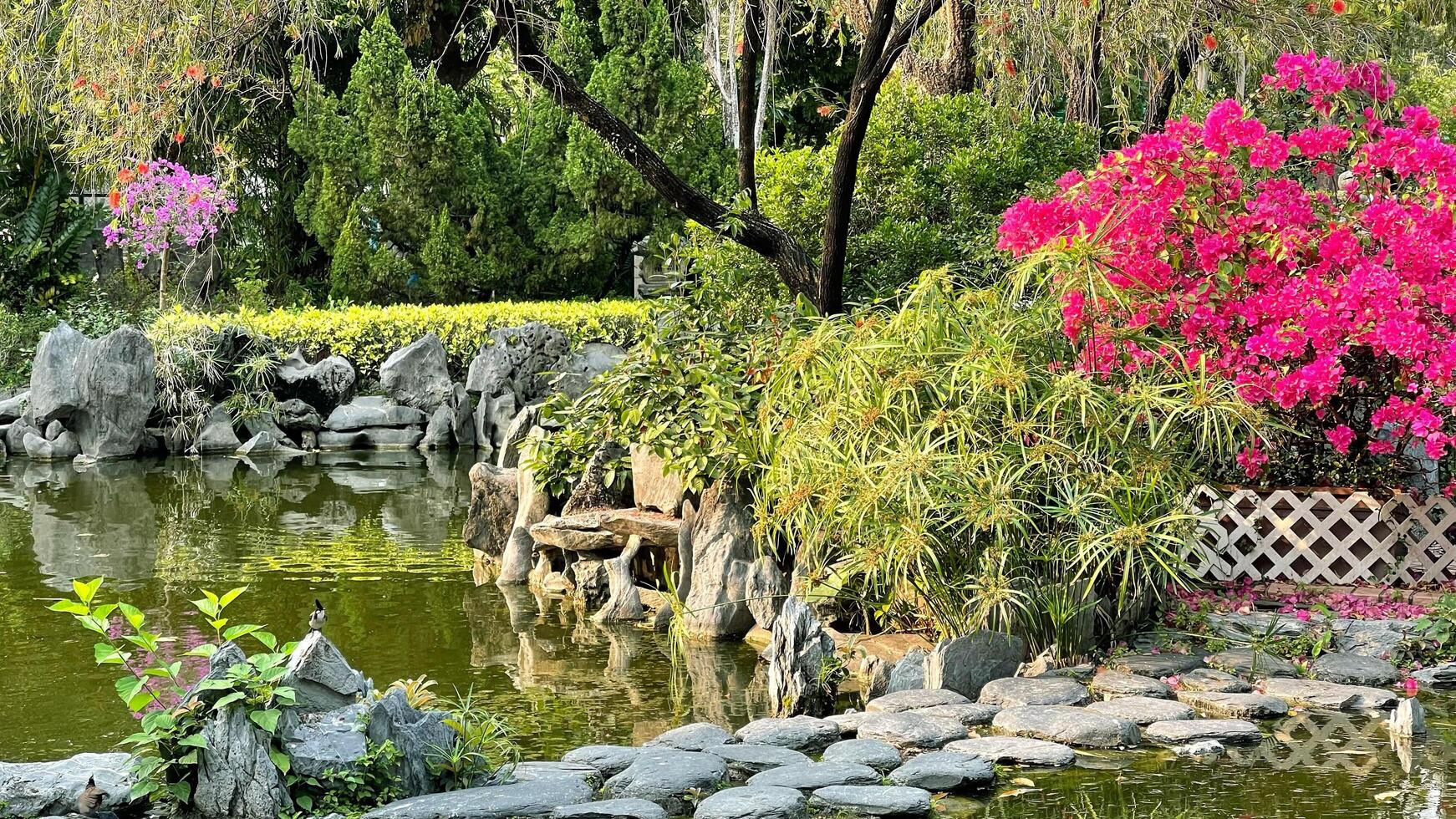 Pink flowers, plants, green trees, stone path and water pond in public outdoor park photo