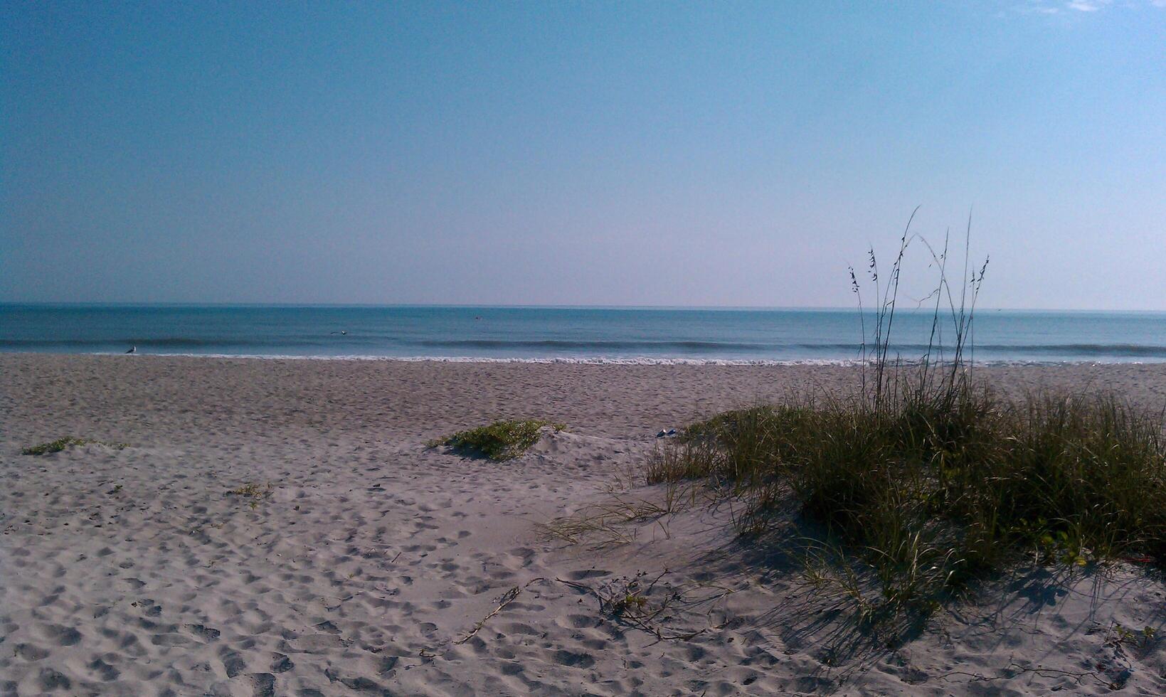 A beach with a sand dune and a surfboard photo