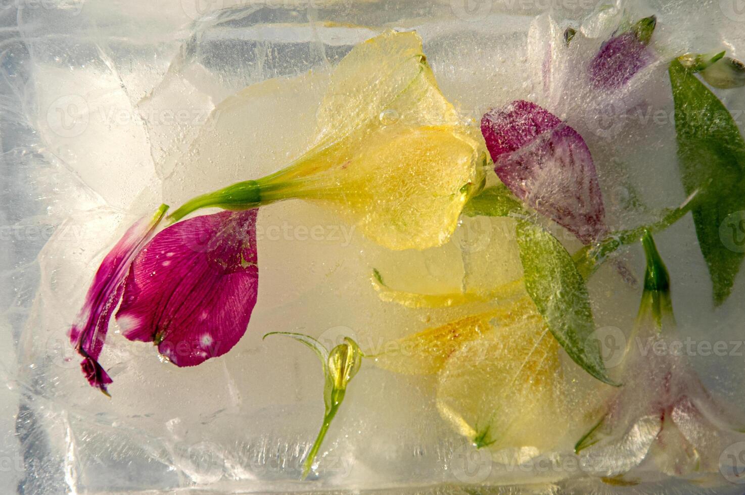A variety of colorful flowers trapped in ice create a stunning visual effect, emphasizing the intricate details of each petal and leaf, reflecting light beautifully photo