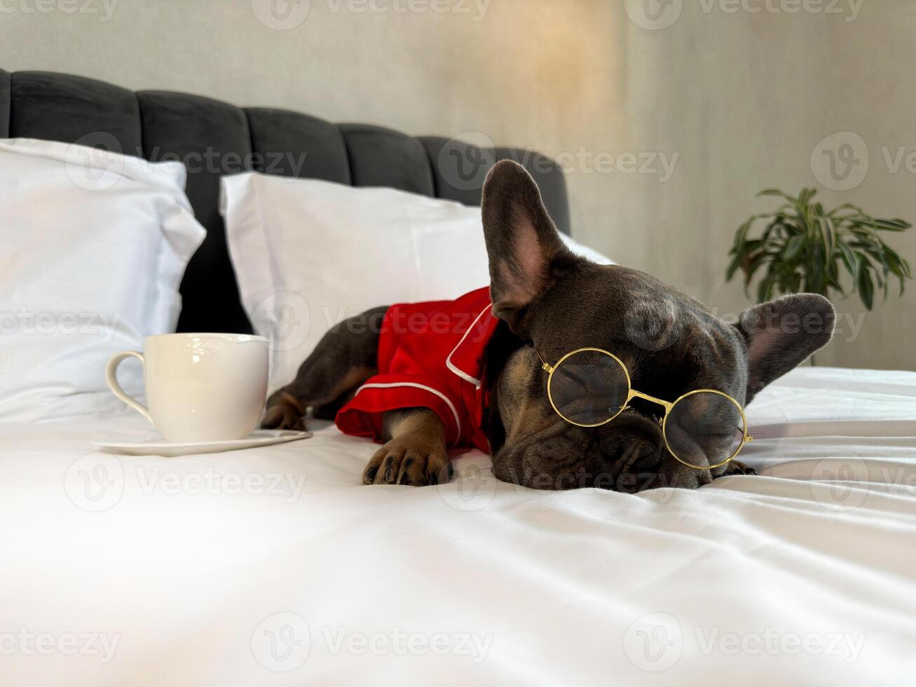 A French Bulldog wears round glasses and a red outfit while resting on a bed next to a cup of coffee in a chic room photo
