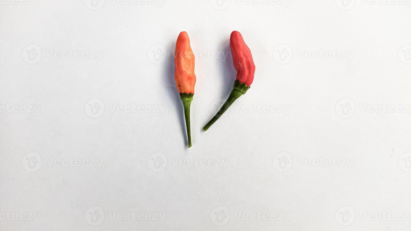 the pair of red ripe chilly isolated on white background photo