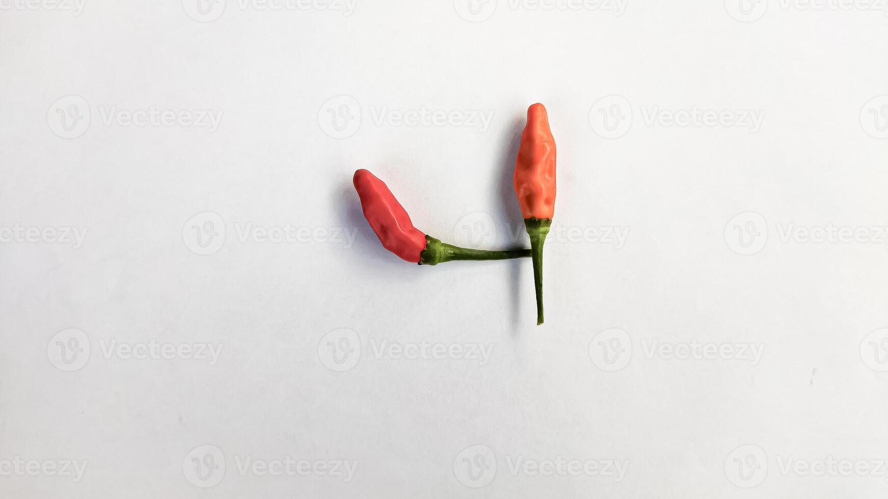 the pair of red ripe chilly isolated on white background photo
