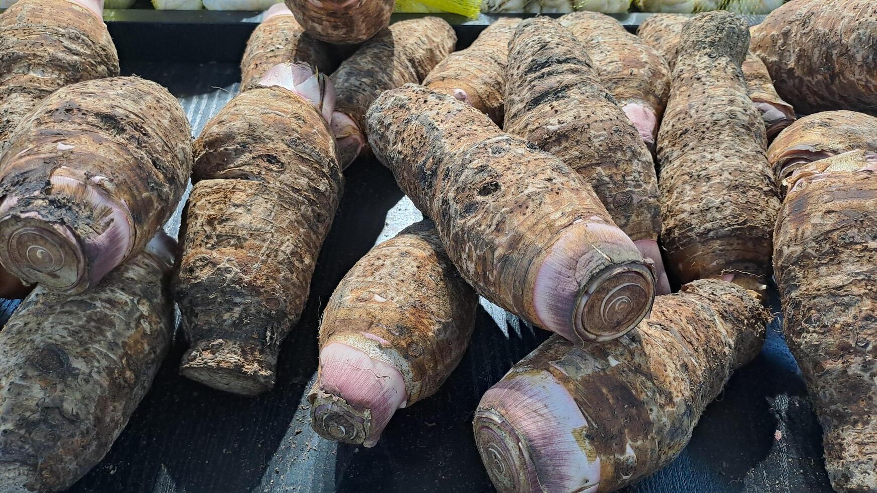 A pile of taro in a supermarket photo