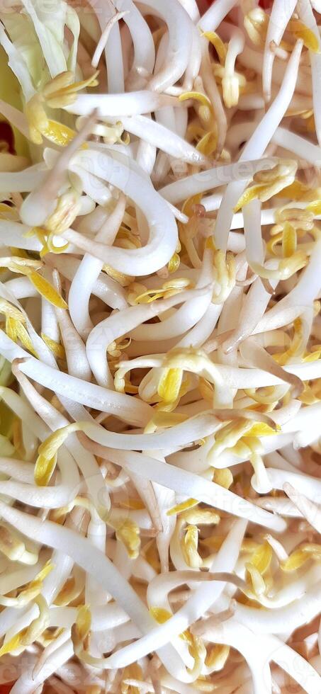 Pile of fresh bean Sprouts or kecambah or tauge toge ready for sale at traditional market in Indonesia photo