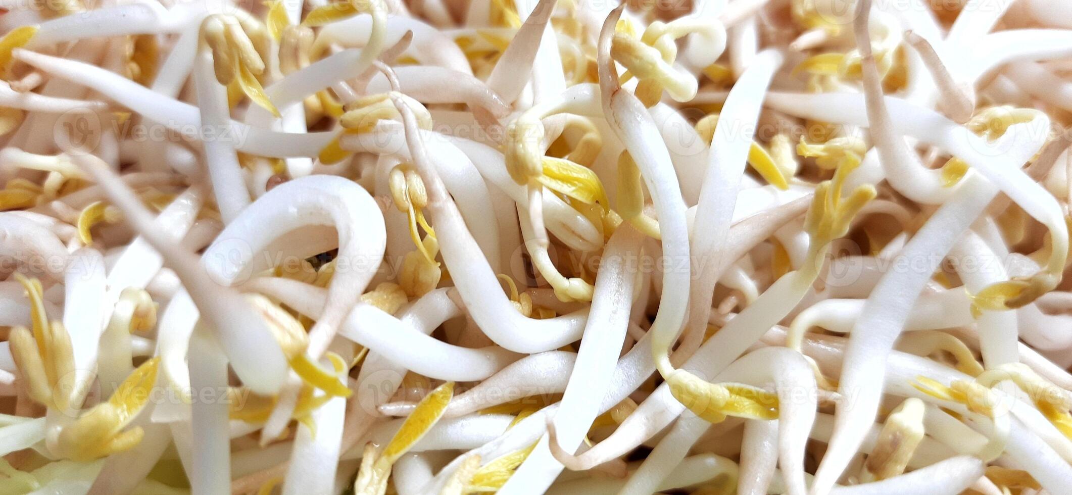 Pile of fresh bean Sprouts or kecambah or tauge toge ready for sale at traditional market in Indonesia photo