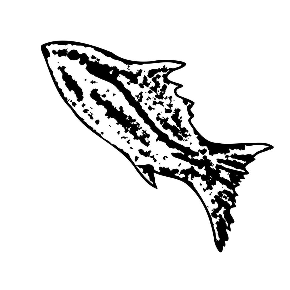Undersea marine life illustration featuring a stylized fish. Illustration. Black fish on a isolated background. Ocean sealife for clip art, label, packages, wallpaper vector