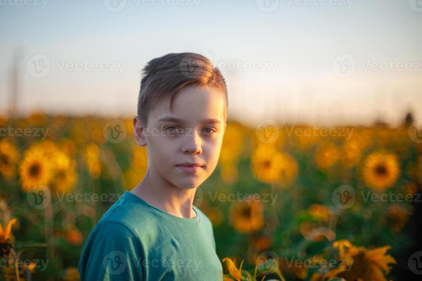 Portrait of beautiful blond kid boy on summer sunflower field photo