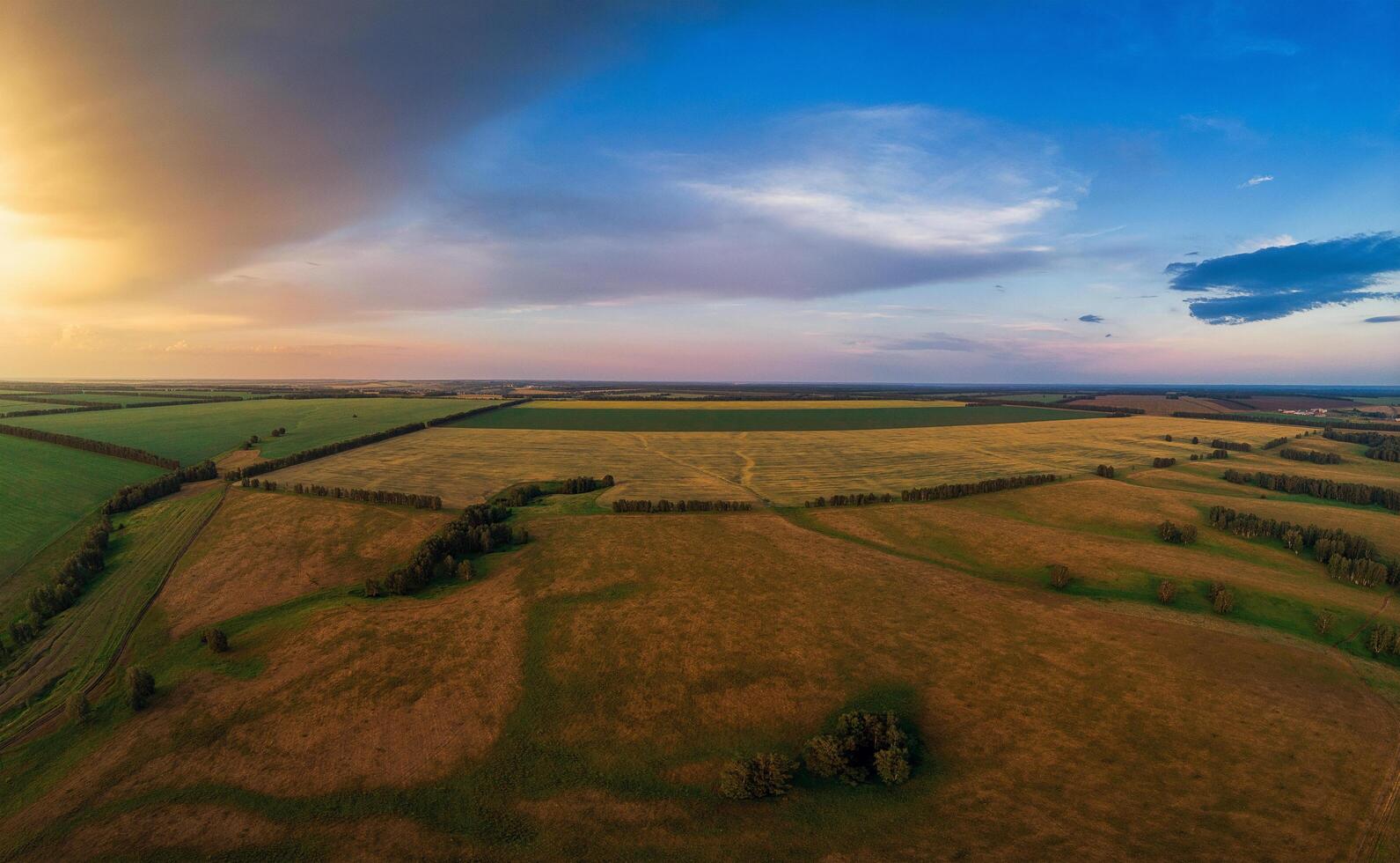 Aerial view on the field photo