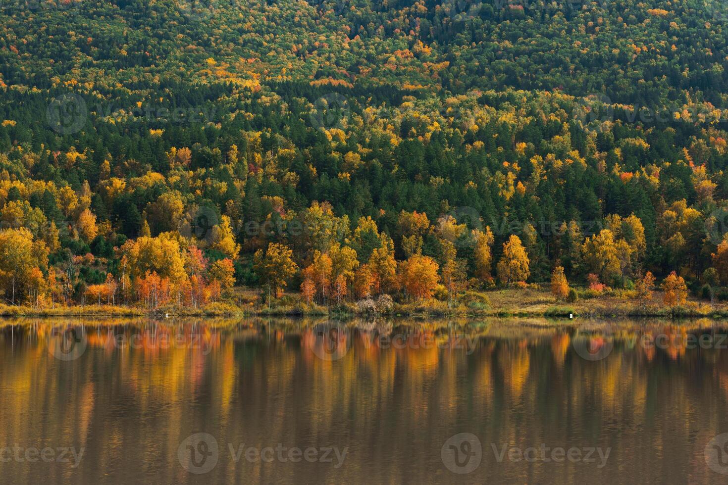 Autumn reflections lake photo