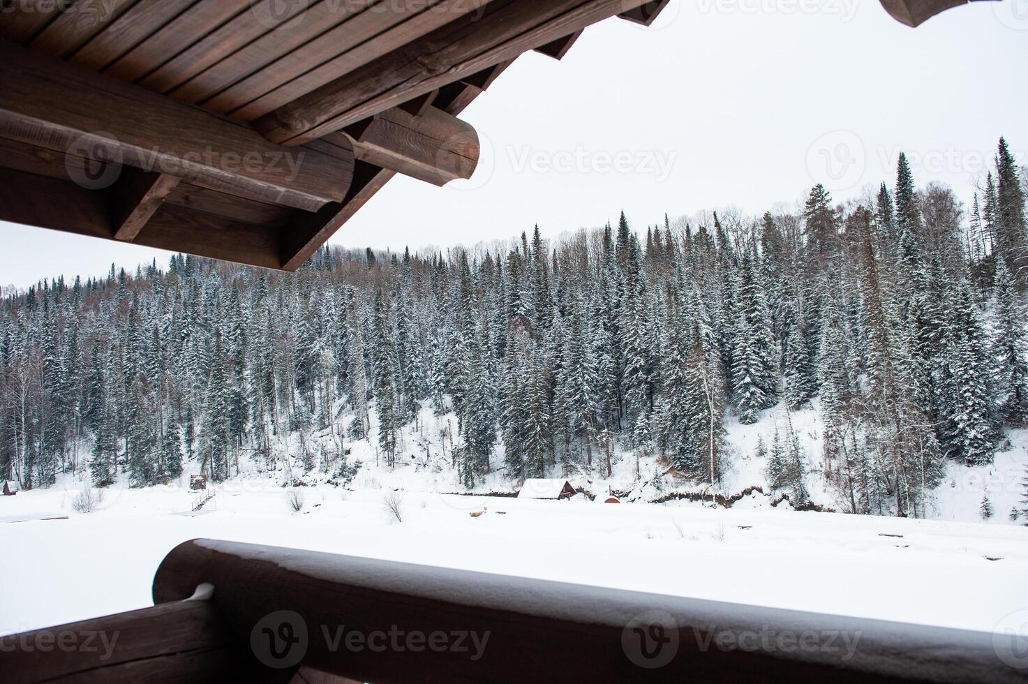 Winter holiday house in forest. photo