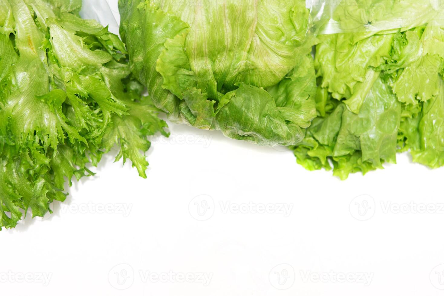 Green lettuce group set photo
