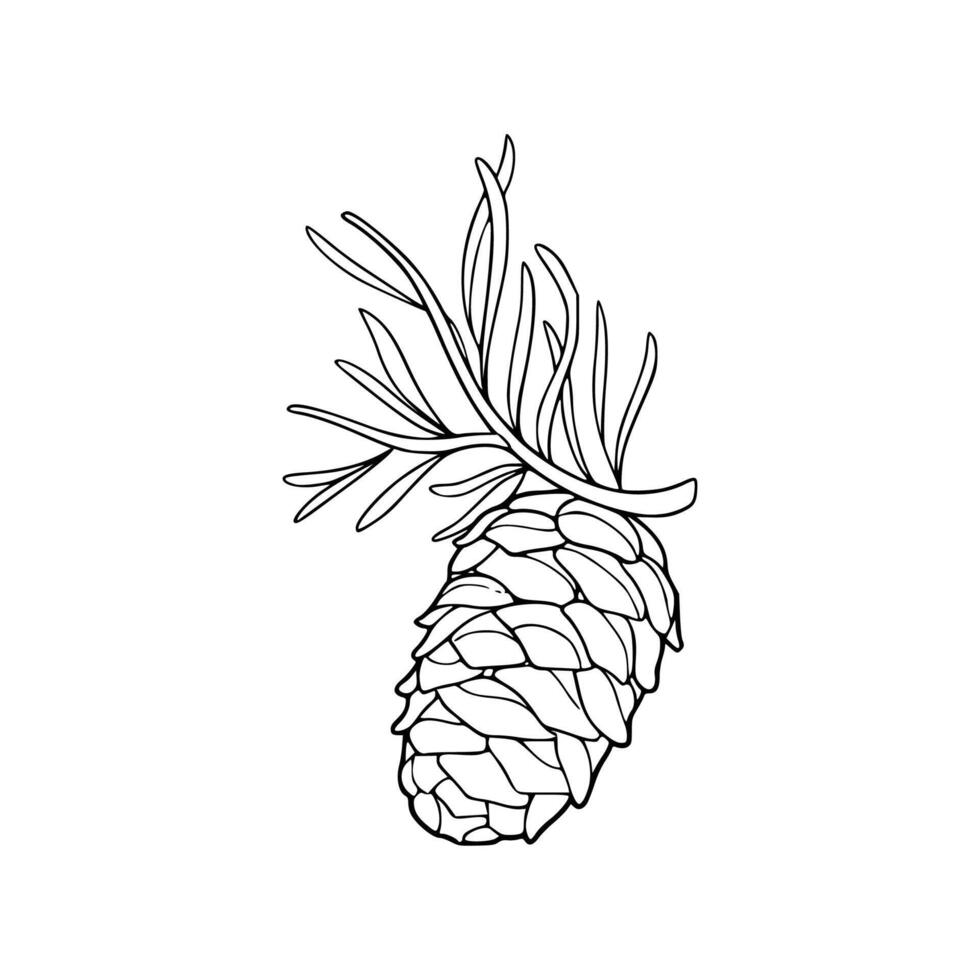 A black and white drawing of a pine cone vector