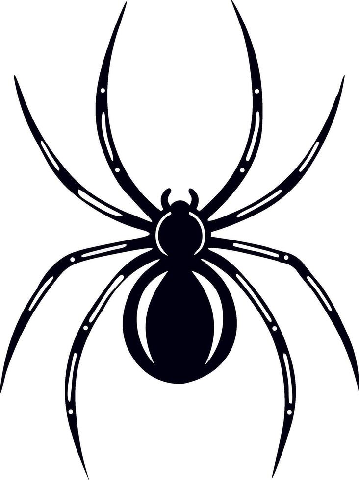 Black silhouette of the spider with long legs illustration isolated on the white background vector