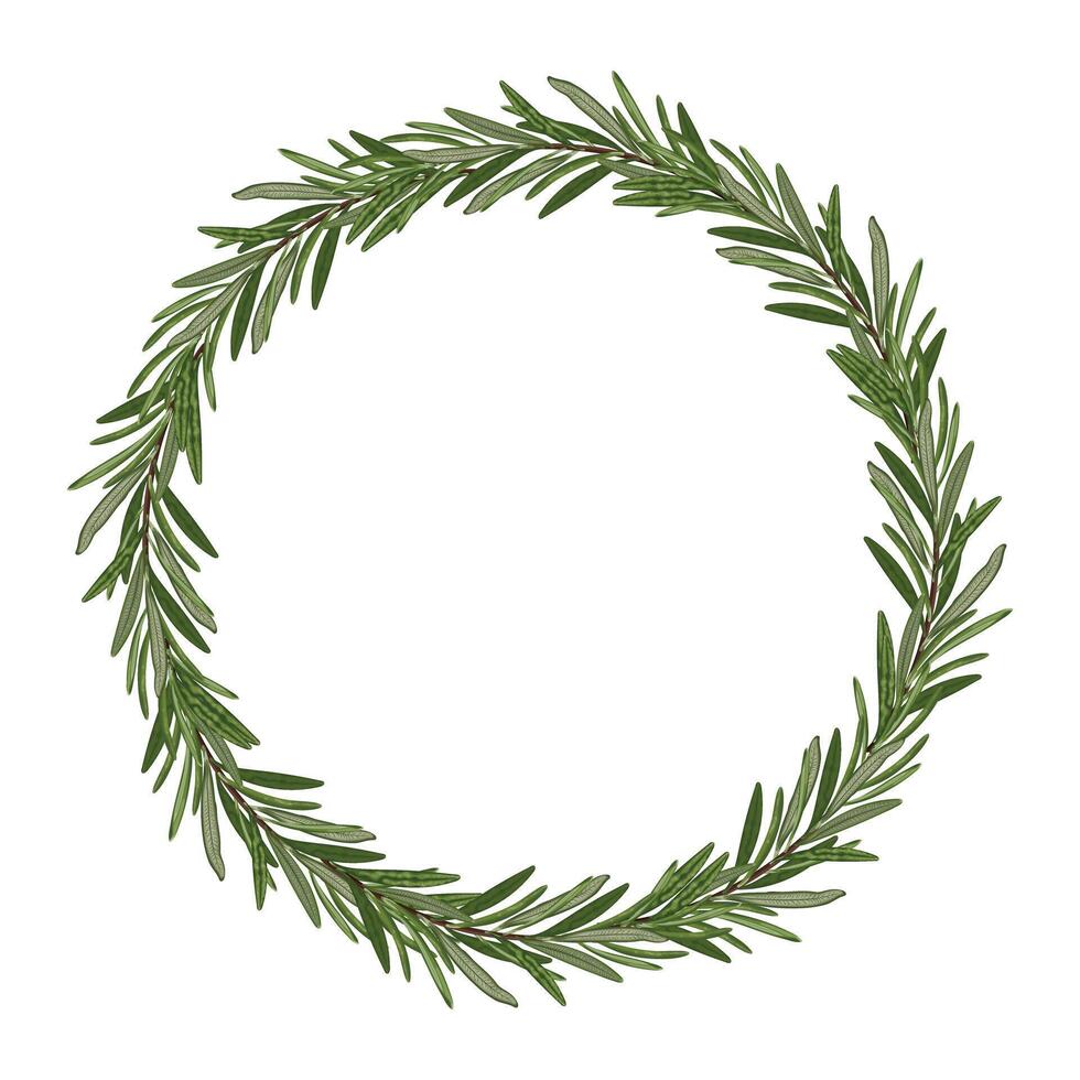 Minimalistic illustration of a rosemary wreath, perfect for eco-friendly Christmas decor. vector