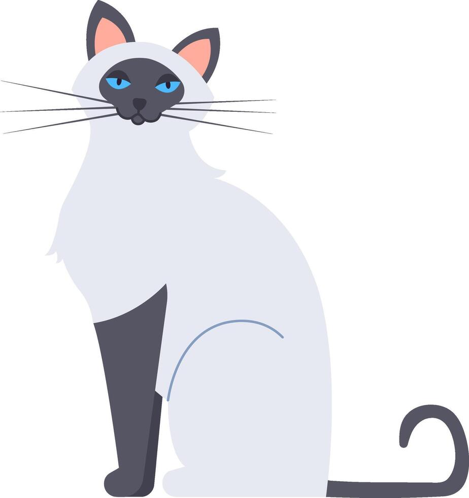 Birman cat with striking blue eyes and a black nose sitting and staring intently, isolated against a clean white background, featuring a simple and elegant flat illustration vector