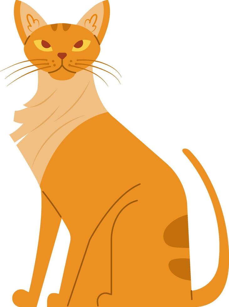 Orange cat with light fur on its chest sitting and staring with an intense gaze, creating a charming and playful atmosphere in a simple flat illustration vector