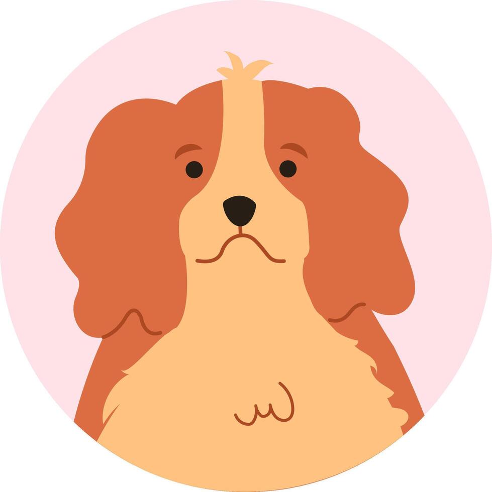 Cute cavalier king charles spaniel dog posing for a charming portrait illustration against a vibrant pink circular background, radiating happiness and playfulness vector