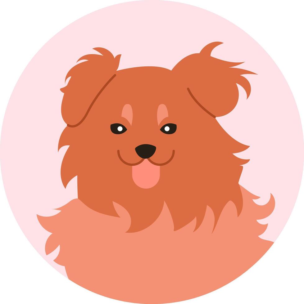 Portrait of a Kooikerhondje dog playfully sticking out its tongue within a vibrant pink circle, featuring a simple, flat illustration of this fluffy and adorable breed vector