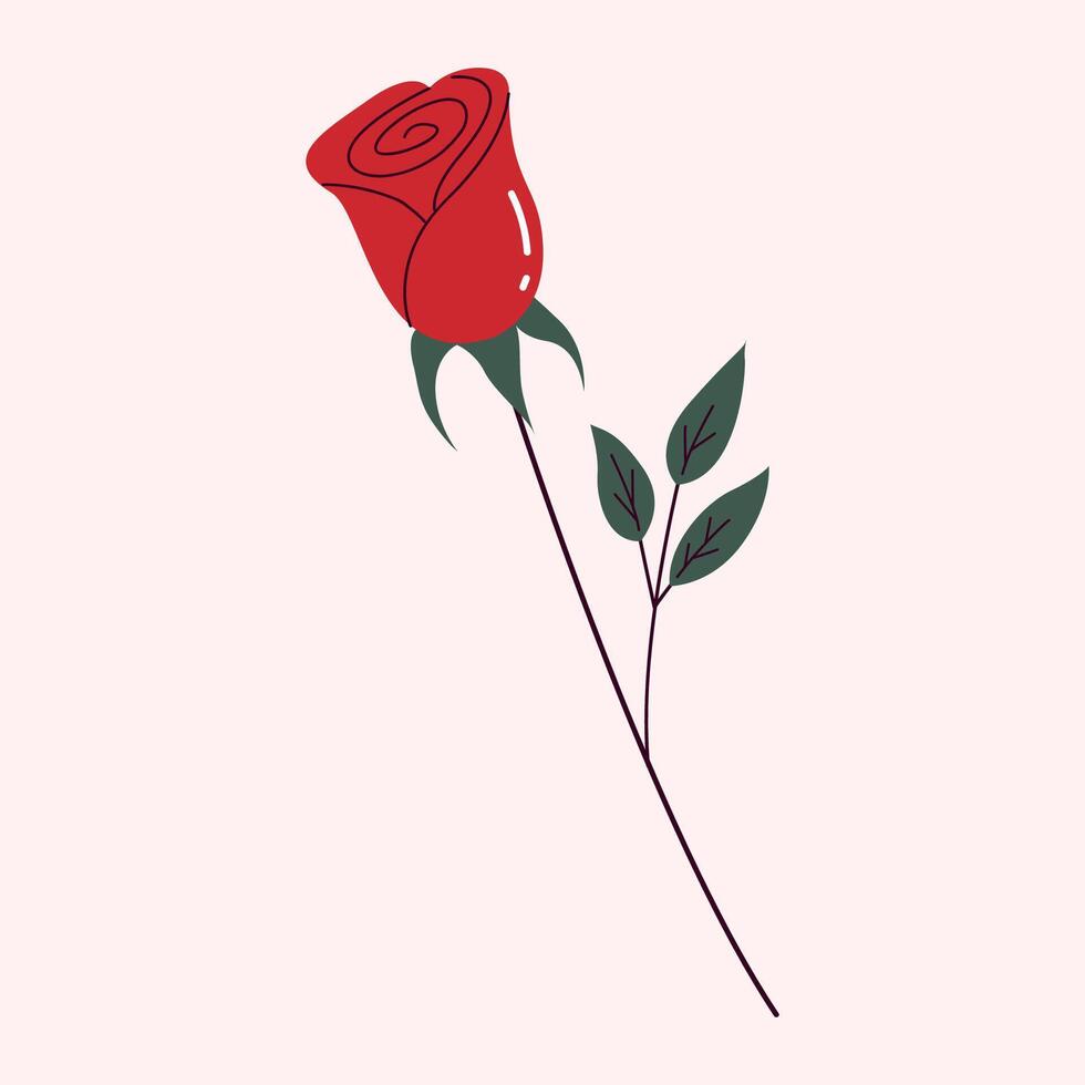 Saint Valentines day illustration of isolated red rose. Hand drawn illustration vector